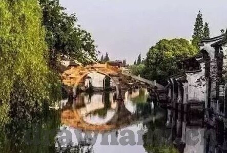 大象传媒的抖音叫什么-探索大象传媒在抖音的独特魅力，揭秘其平台名称与内容创新