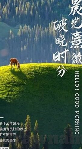 人妻麻豆av-多元视角下的网络世界，从夹缝中寻找真实与教育的平衡