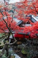 日韩在线蜜月av-探索日韩文化中的浪漫与亲密，蜜月旅行的独特体验