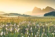 糖心app下载苹果教程-简单易懂的糖心app在苹果设备上的安装步骤解析