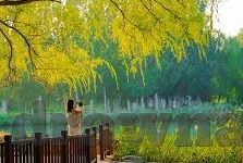 亚洲伦理小说家庭伦理合集-亚洲伦理小说，家庭伦理的细腻织锦